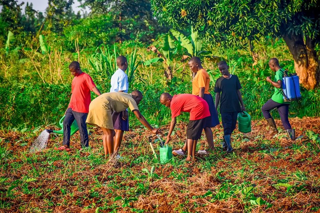 Agriculture